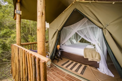 Shalati Safari Camp tent 2